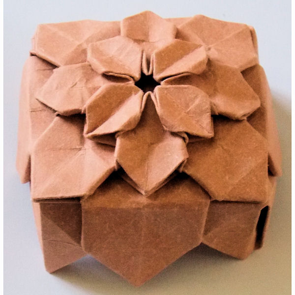 Fujimoto hydrangea box lid