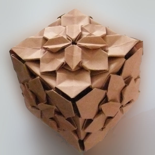 Fujimoto hydrangea cube