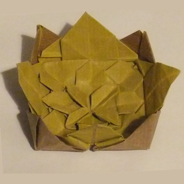 Fujimoto hydrangea dish