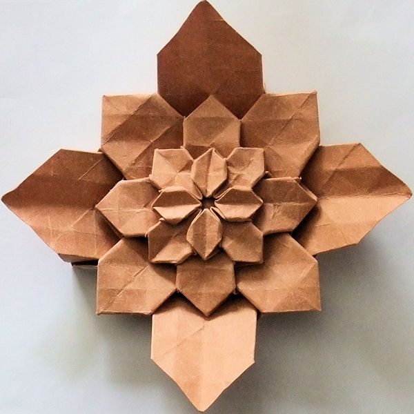 Fujimoto hydrangea