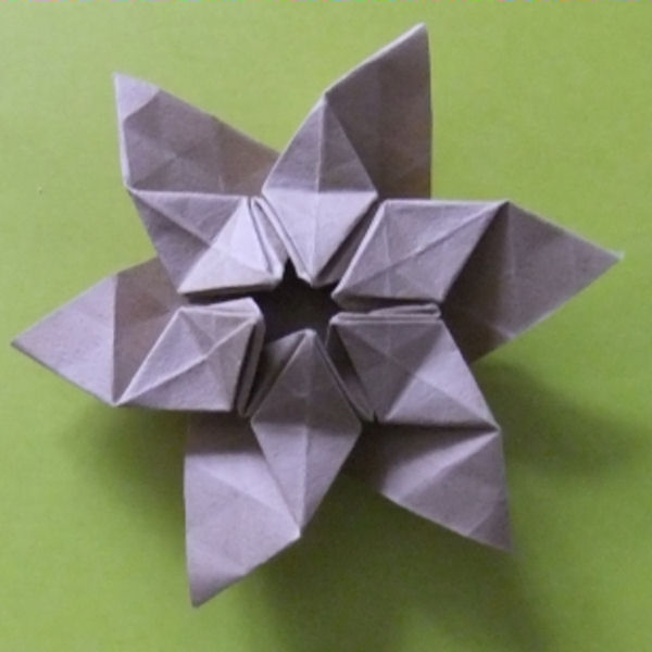 Fujimoto star variant1