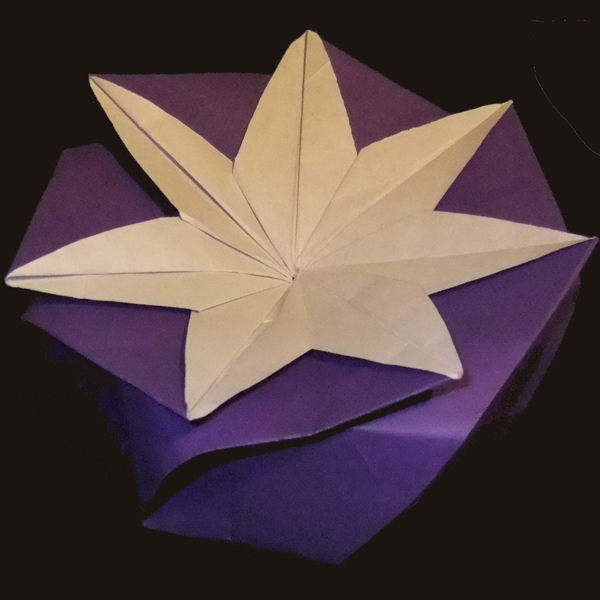 Box of seven joys