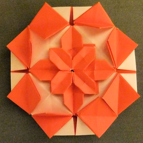Crowding hydrangulated butterflies