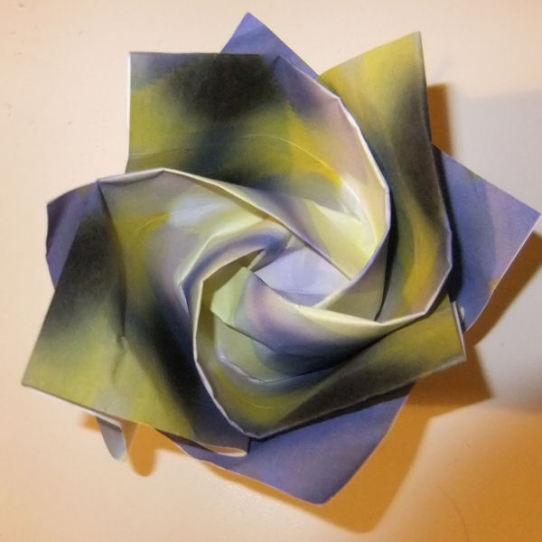 Three minute kawasaki rose